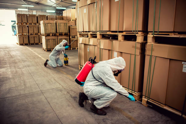 Best Residential Pest Control  in Silverthorne, CO