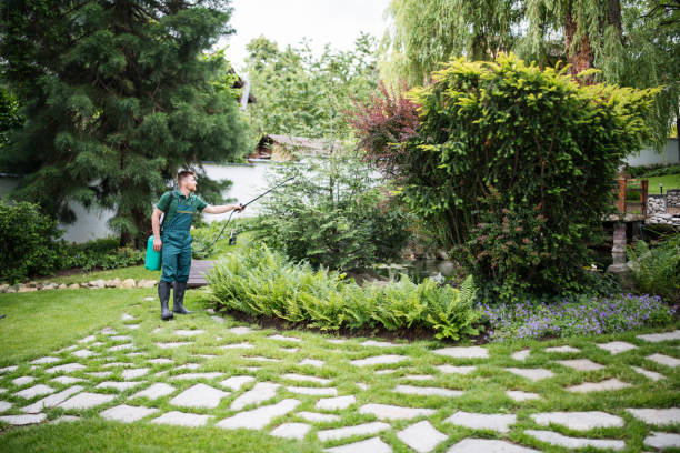 Best Ant Control Services  in Silverthorne, CO