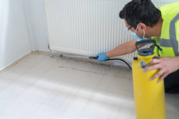 Best Pest Removal Services  in Silverthorne, CO
